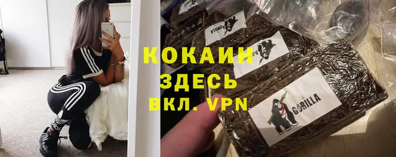 Cocaine Эквадор  как найти   Ижевск 