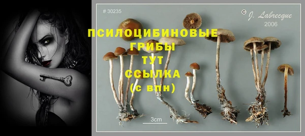 экстази Краснослободск