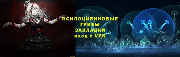 экстази Краснослободск