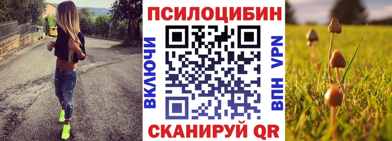 Псилоцибиновые грибы мицелий  мега как зайти  Ижевск 