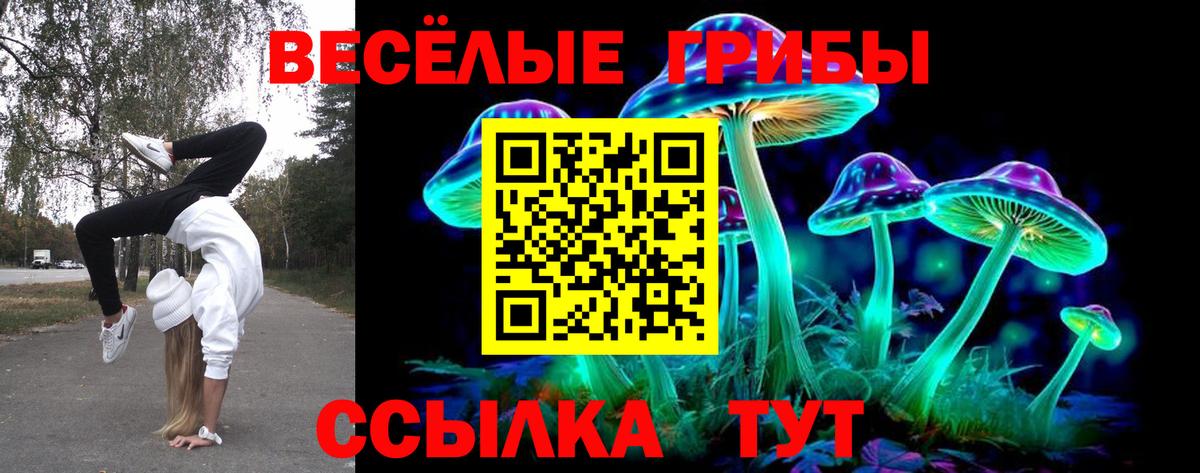 Псилоцибиновые грибы Psilocybe Ижевск