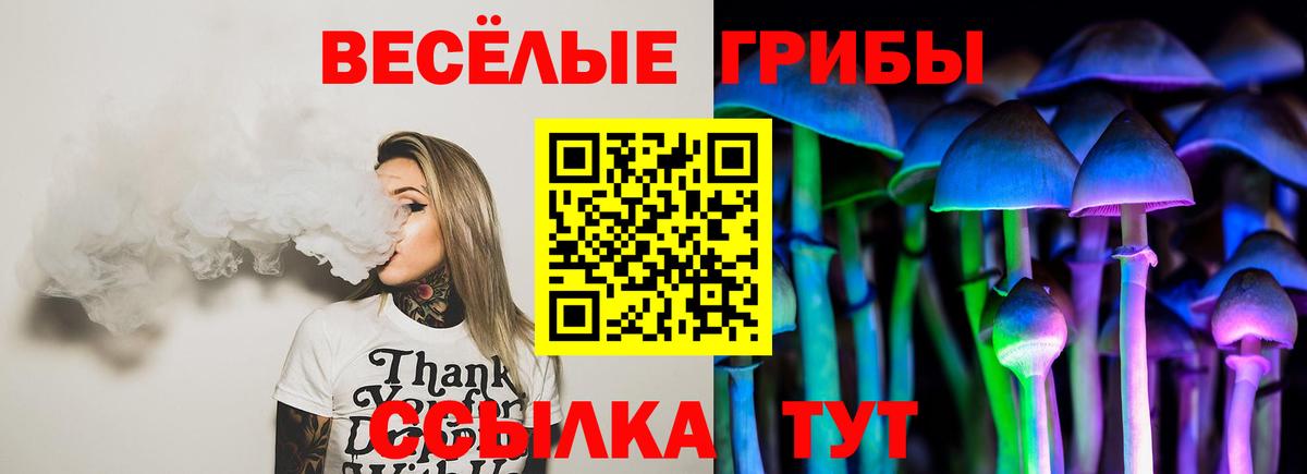 Ижевск  продажа наркотиков  Вход с VPN  Псилоцибиновые грибы MAGIC MUSHROOMS  Галлюциногенные грибы MAGIC MUSHROOMS 
